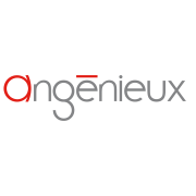 angenieux-logo1a